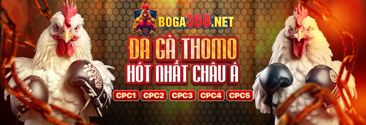 Sân vận động với người hâm mộ cuồng nhiệt và giao diện cá cược thể thao của CS88 nhà cái